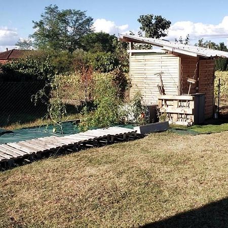 Maison Familiale - Menage, Serviettes, Draps Inclus Gaillac Exteriör bild